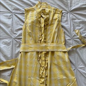 Blue bird shirting dress